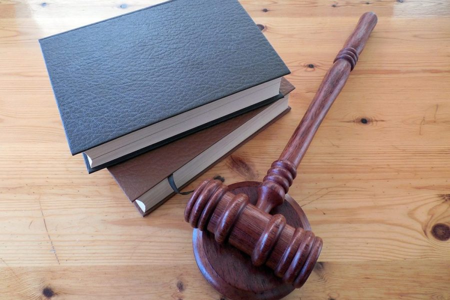 Droits et protection des personnes avec lésion cérébrale en France