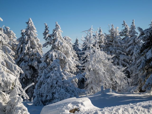 Éviter la fatigue cognitive pendant l&rsquo;hiver : conseils pratiques