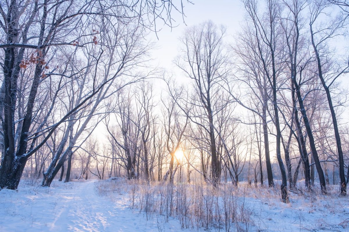 Comment maintenir votre énergie mentale durant l&rsquo;hiver