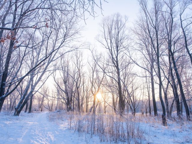 Comment maintenir votre énergie mentale durant l&rsquo;hiver