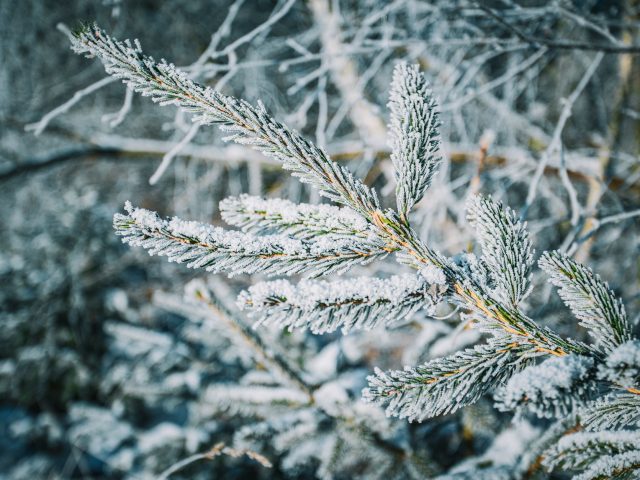 Dès l’hiver, des stratégies pour contrer la fatigue cognitive